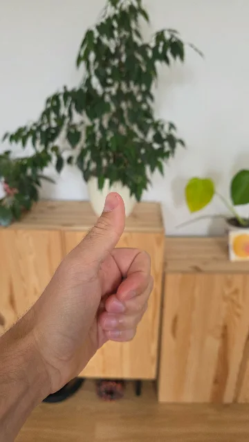 A thumbs-up in front of a houseplant on a sideboard.